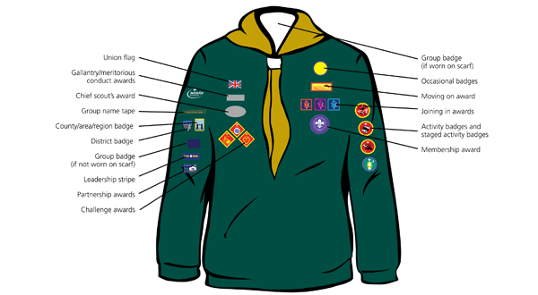 Cub badge positioning guide