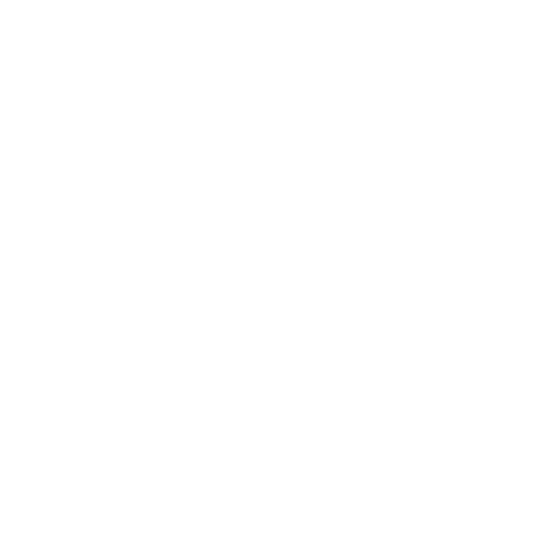 Explorers logo